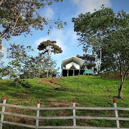 Finca Tres Equis - Farm And Forest Exterior foto