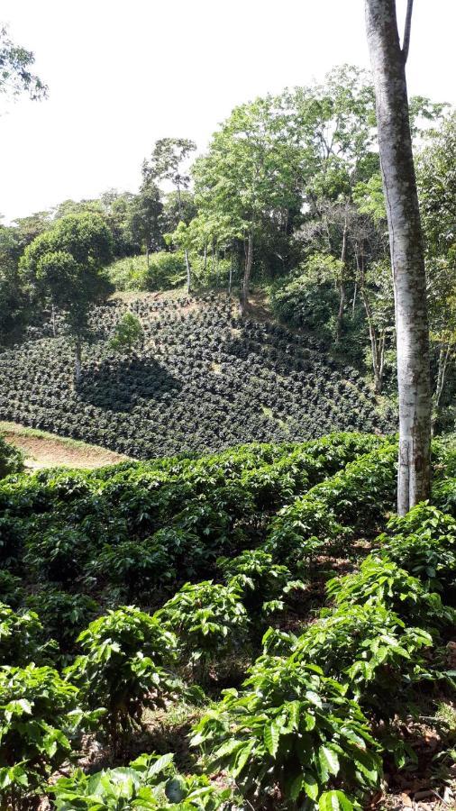 Finca Tres Equis - Farm And Forest Exterior foto