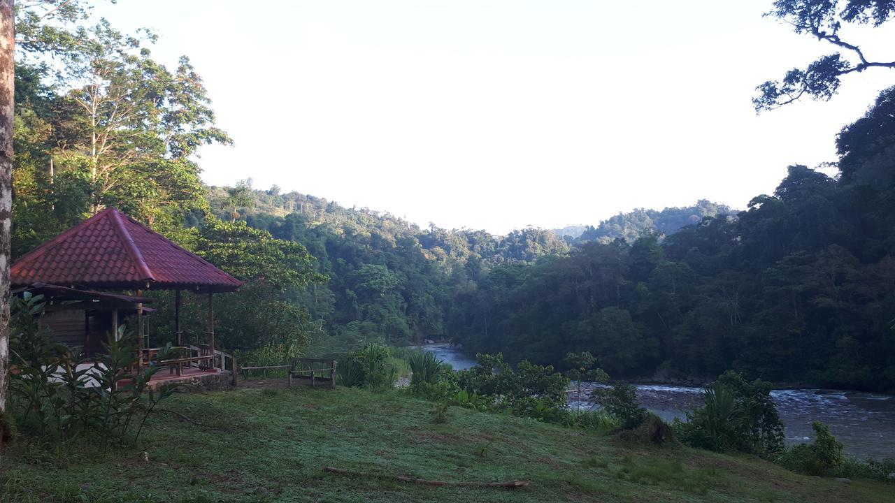 Finca Tres Equis - Farm And Forest Exterior foto