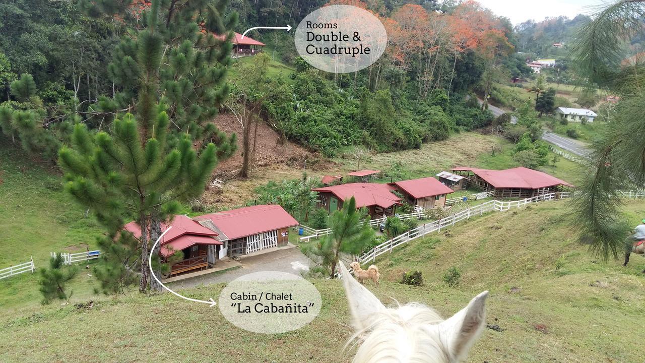 Finca Tres Equis - Farm And Forest Exterior foto